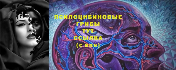 твердый Арсеньев