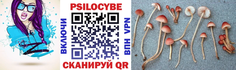 Галлюциногенные грибы Psilocybe  Спас-Деменск 